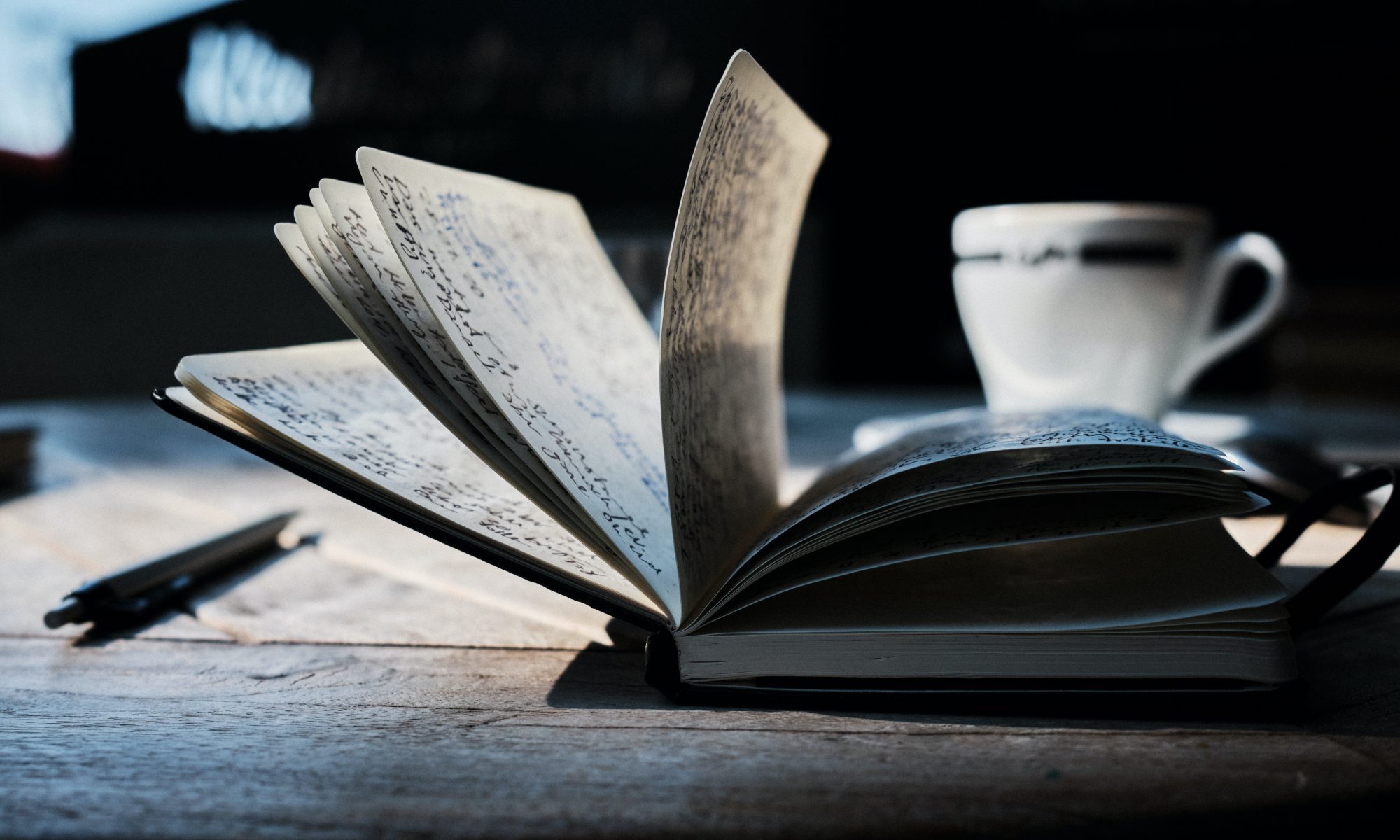 Pages of a book in shadow leaf as if blown by wind.